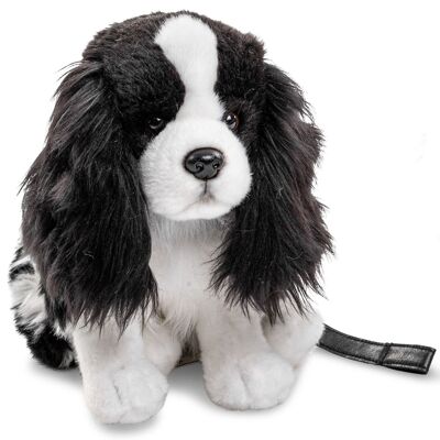 Cocker Spaniel, sentado (con correa) - blanco y negro - 23 cm (altura) - Palabras clave: perro, mascota, peluche, peluche, peluche, peluche