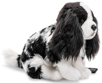 Cocker Spaniel, assis (avec laisse) - noir et blanc - 23 cm (hauteur) - Mots clés : chien, animal de compagnie, peluche, peluche, peluche, peluche 2