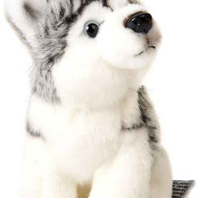 Husky Plushie, sitzend - 12 cm (Höhe) - Keywords: Hund, Haustier, Plüsch, Plüschtier, Stofftier, Kuscheltier