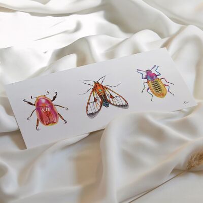 Carte d'art illustrée "Little World " - Portraits trio d'insectes or