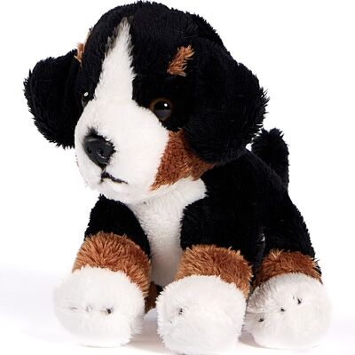 Peluche Perro de Montaña de Berna - 13 cm (alto) - Palabras clave: perro, mascota, peluche, peluche, peluche, peluche