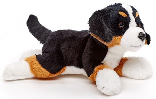 Berner Sennenhund Plushie (ohne Leine) - 21 cm (Länge) - Keywords: Hund, Haustier, Plüsch, Plüschtier, Stofftier, Kuscheltier