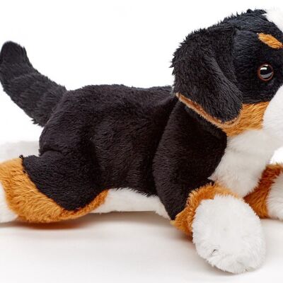 Peluche de perro de montaña de Berna (sin correa) - 21 cm (largo) - Palabras clave: perro, mascota, peluche, peluche, peluche, peluche