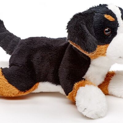 Berner Sennenhund Plushie (ohne Leine) - 21 cm (Länge) - Keywords: Hund, Haustier, Plüsch, Plüschtier, Stofftier, Kuscheltier