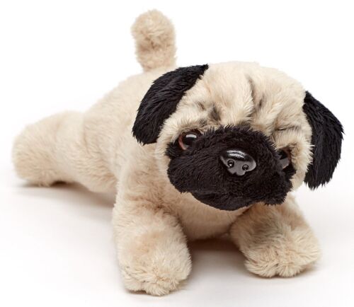 Mops Plushie (ohne Leine) - 21 cm (Länge) - Keywords: Hund, Haustier, Plüsch, Plüschtier, Stofftier, Kuscheltier