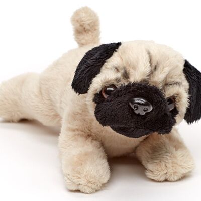 Pug Plushie (sin correa) - 21 cm (largo) - Palabras clave: perro, mascota, peluche, peluche, peluche, peluche