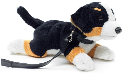 Berner Sennenhund Plushie (mit Leine) - 21 cm (Länge) - Keywords: Hund, Haustier, Plüsch, Plüschtier, Stofftier, Kuscheltier