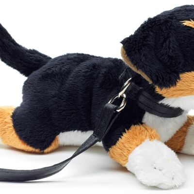 Bernese Mountain Dog Plushie (with leash) - 21 cm (length) - Keywords: dog, pet, plush, plush toy, stuffed animal, cuddly toy