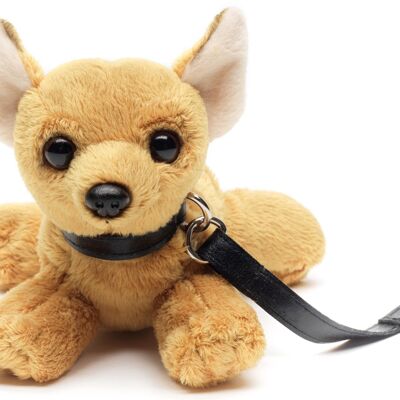 Peluche Chihuahua (avec laisse) - 20 cm (longueur) - Mots clés : chien, animal de compagnie, peluche, peluche, peluche, peluche