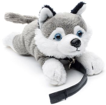 Husky Plushie (avec laisse) - 22 cm (longueur) - Mots clés : chien, animal de compagnie, peluche, peluche, peluche, peluche 1