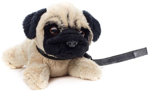 Mops Plushie (mit Leine) - 21 cm (Länge) - Keywords: Hund, Haustier, Plüsch, Plüschtier, Stofftier, Kuscheltier