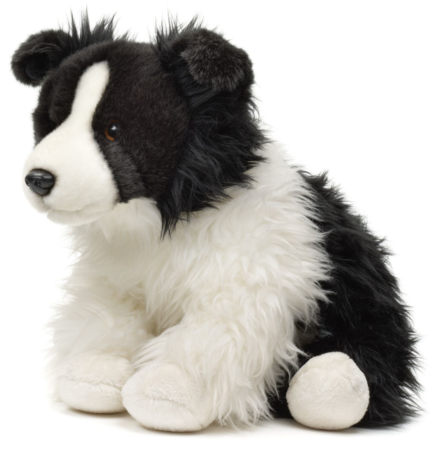 Border Collie, sentado (sin correa) - 26 cm (altura) - Palabras clave: perro, mascota, peluche, peluche, peluche, peluche
