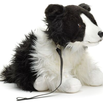 Border Collie, sitzend (mit Leine) - 26 cm (Höhe) - Keywords: Hund, Haustier, Plüsch, Plüschtier, Stofftier, Kuscheltier