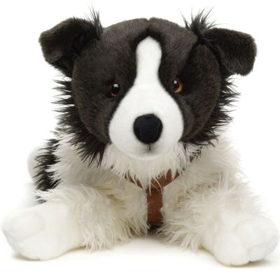 Border Collie, lying (with harness) - 64 cm (length) - Keywords: dog, pet, plush, plush toy, stuffed animal, cuddly toy