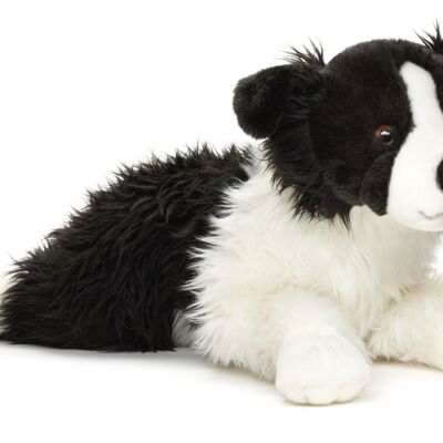 Border Collie, couché (sans harnais) - 64 cm (longueur) - Mots clés : chien, animal de compagnie, peluche, peluche, peluche, peluche