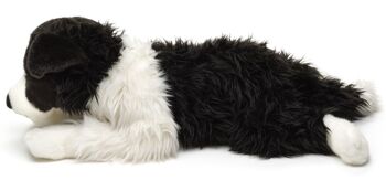 Border Collie, couché (sans harnais) - 64 cm (longueur) - Mots clés : chien, animal de compagnie, peluche, peluche, peluche, peluche 3