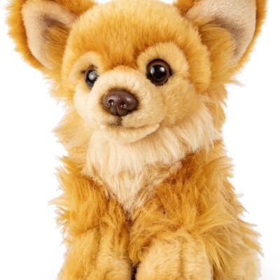 Chihuahua, assis (marron) - 18 cm (longueur) - Mots clés : chien, animal de compagnie, peluche, peluche, peluche, peluche