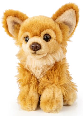 Chihuahua, assis (marron) - 18 cm (longueur) - Mots clés : chien, animal de compagnie, peluche, peluche, peluche, peluche 1