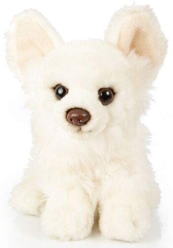 Chihuahua, assis (blanc) - 18 cm (longueur) - Mots clés : chien, animal de compagnie, peluche, peluche, peluche, peluche 1