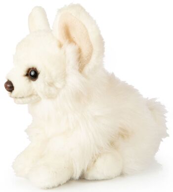 Chihuahua, assis (blanc) - 18 cm (longueur) - Mots clés : chien, animal de compagnie, peluche, peluche, peluche, peluche 2