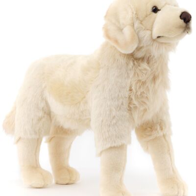 Golden Retriever 'Joy', in piedi - 50 cm (altezza) - Parole chiave: cane, animale domestico, peluche, peluche, animale di peluche, peluche