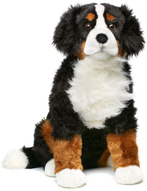 Berner Sennenhund 'Ben', sitzend - 57 cm (Höhe) - Keywords: Hund, Haustier, Plüsch, Plüschtier, Stofftier, Kuscheltier
