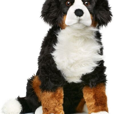 Berner Sennenhund 'Ben', sitzend - 57 cm (Höhe) - Keywords: Hund, Haustier, Plüsch, Plüschtier, Stofftier, Kuscheltier