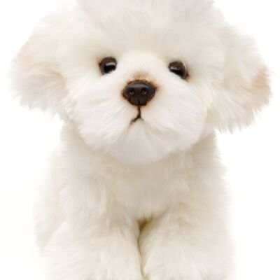 Perro maltés - 18 cm (alto) - Palabras clave: perro, mascota, peluche, peluche, peluche, peluche