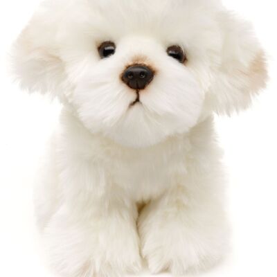 Malteser Hund - 18 cm (Höhe) - Keywords: Hund, Haustier, Plüsch, Plüschtier, Stofftier, Kuscheltier
