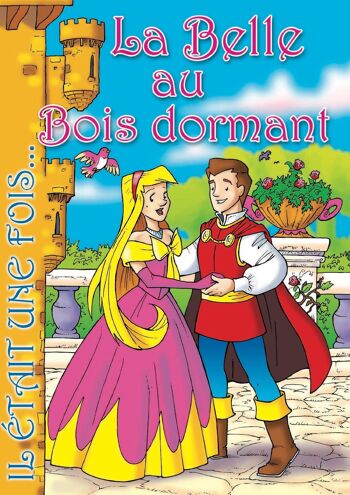 LIVRE - IL ÉTAIT UNE FOIS : LA BELLE AU BOIS DORMANT 1