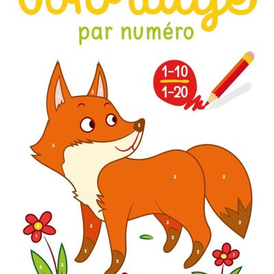 BOOK - COLORING BY NUMBER: THE FOX