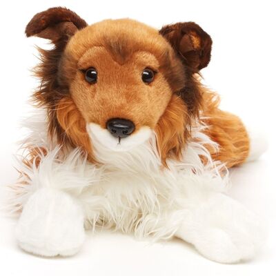 Collie à poils longs, couché - visage marron - 41 cm (longueur) - Mots clés : chien, animal de compagnie, peluche, peluche, peluche, peluche