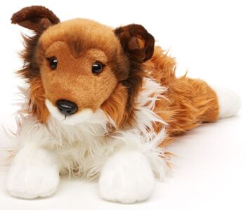 Collie à poils longs, couché - visage marron - 41 cm (longueur) - Mots clés : chien, animal de compagnie, peluche, peluche, peluche, peluche 2