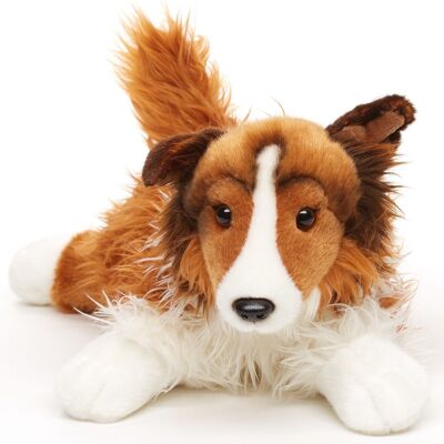 Colley à poils longs, couché - visage blanc-marron - 41 cm (longueur) - Mots clés : chien, animal de compagnie, peluche, peluche, peluche, peluche