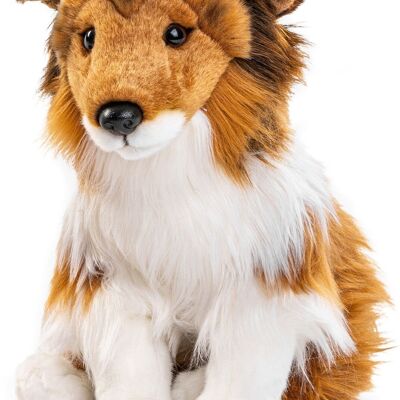 Collie de pelo largo, sentado (sin correa) - cara marrón - 27 cm (altura) - Palabras clave: perro, mascota, peluche, peluche, peluche, peluche