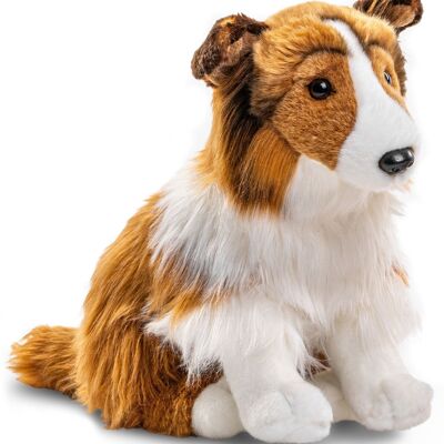 Collie de pelo largo, sentado (sin correa) - cara blanco-marrón - 27 cm (altura) - Palabras clave: perro, mascota, peluche, peluche, peluche, peluche