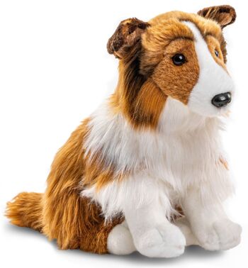 Colley à poils longs, assis (sans laisse) - face blanc-marron - 27 cm (hauteur) - Mots clés : chien, animal de compagnie, peluche, peluche, peluche, peluche 1