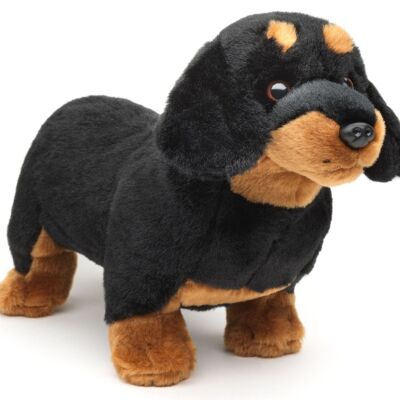 Perro salchicha, de pie (sin correa) - 28 cm (largo) - Palabras clave: perro, mascota, peluche, peluche, peluche, peluche