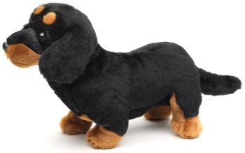 Teckel, debout (sans laisse) - 28 cm (longueur) - Mots clés : chien, animal de compagnie, peluche, peluche, peluche, peluche 3