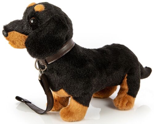 Dackel, stehend (mit Leine) - 28 cm (Länge) - Keywords: Hund, Haustier, Plüsch, Plüschtier, Stofftier, Kuscheltier