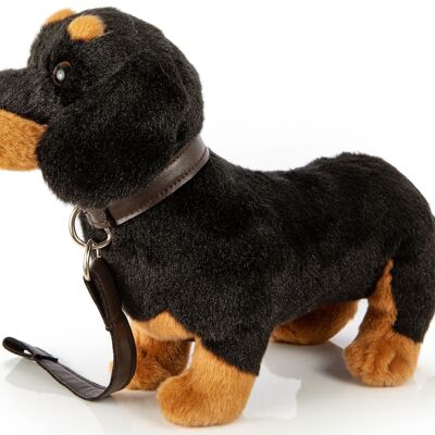 Perro salchicha, de pie (con correa) - 28 cm (largo) - Palabras clave: perro, mascota, peluche, peluche, peluche, peluche