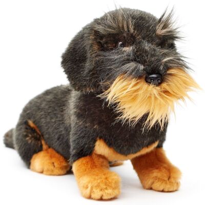 Perro salchicha de pelo duro, sentado (sin correa) - 22 cm (altura) - Palabras clave: perro, mascota, peluche, peluche, peluche, peluche