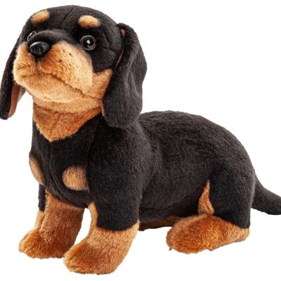 Teckel (sans laisse) - 27 cm (longueur) - Mots clés : chien, animal de compagnie, peluche, peluche, peluche, peluche