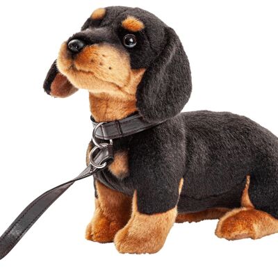 Teckel (avec laisse) - 27 cm (longueur) - Mots clés : chien, animal de compagnie, peluche, peluche, peluche, peluche