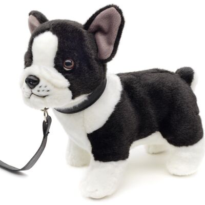 Französische Bulldogge (schwarz-weiß) - Mit Leine - 25 cm (Länge) - Keywords: Hund, Haustier, Plüsch, Plüschtier, Stofftier, Kuscheltier