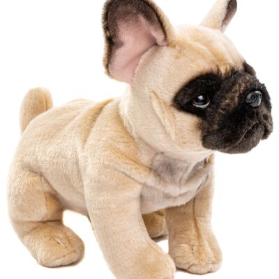Bulldog Francés (beige) - Sin correa - 27 cm (largo) - Palabras clave: perro, mascota, peluche, peluche, peluche, peluche