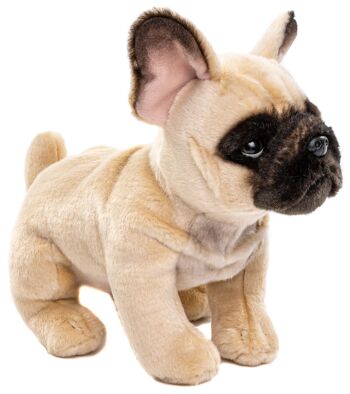 Bouledogue français (beige) - Sans laisse - 27 cm (longueur) - Mots clés : chien, animal, peluche, peluche, peluche, peluche 1