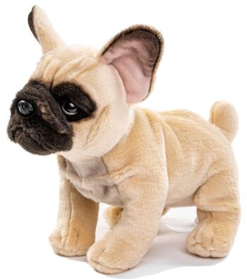 Bouledogue français (beige) - Sans laisse - 27 cm (longueur) - Mots clés : chien, animal, peluche, peluche, peluche, peluche 2