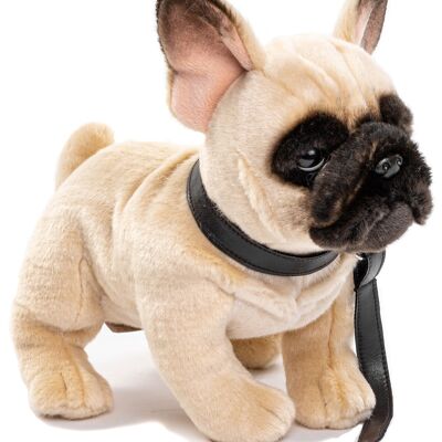 Bulldog francese (beige) - Con guinzaglio - 27 cm (lunghezza) - Parole chiave: cane, animale domestico, peluche, peluche, peluche, peluche