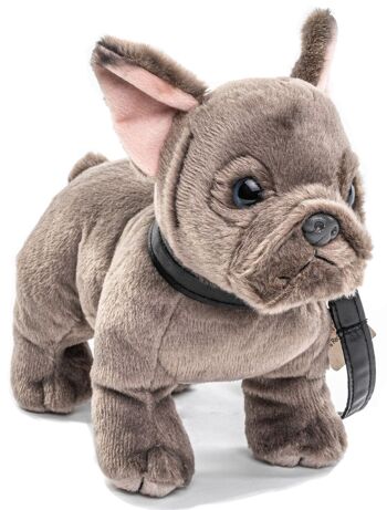 Bouledogue français (gris) - Avec laisse - 26 cm (longueur) - Mots clés : chien, animal de compagnie, peluche, peluche, peluche, peluche 1